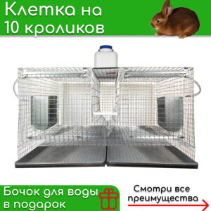 Клетка для кроликов на 10 голов Откорм